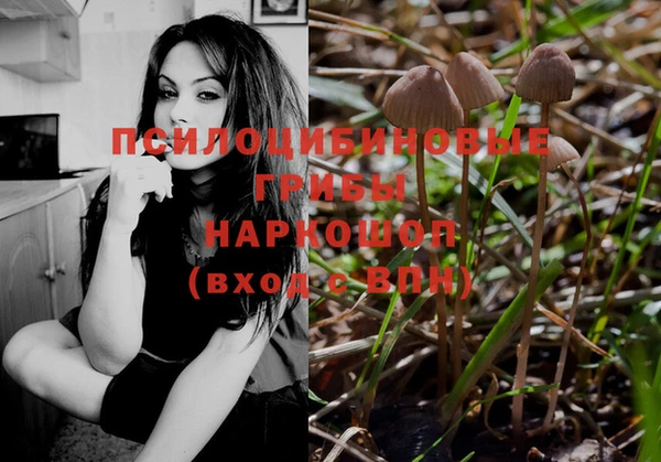 спайс Баксан